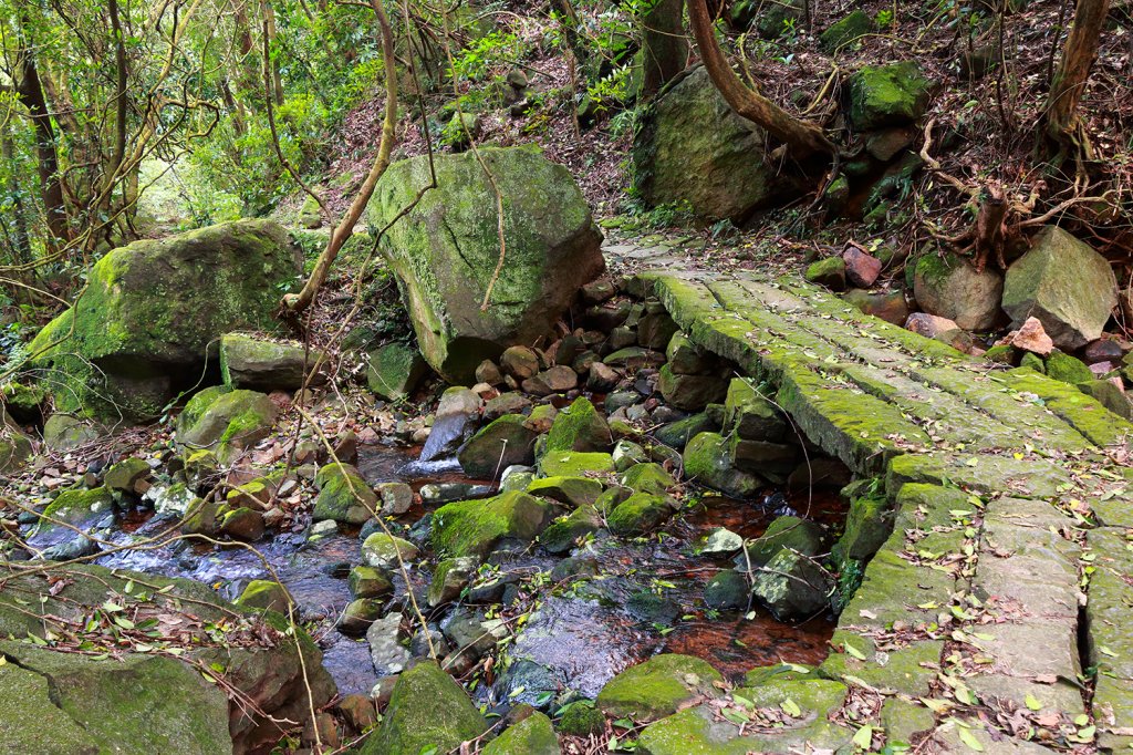 五指山支稜。東陽明山群峰_549911