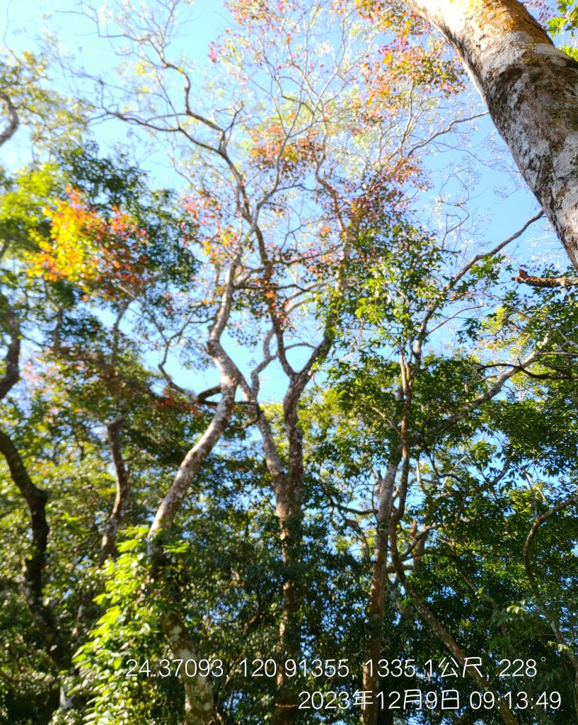 20231209_馬那邦山_2374545