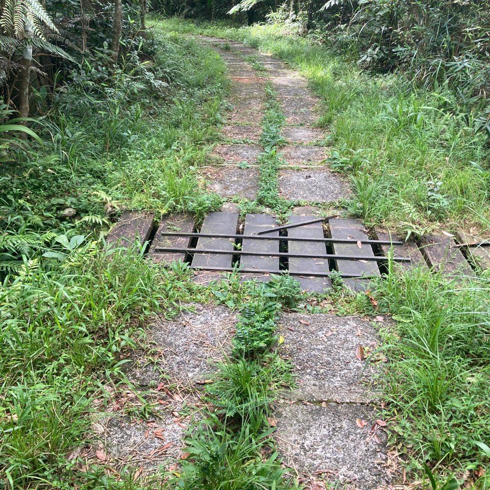 步道巡訪員 l 跑馬古道 第8巡水溝廁所_1054385