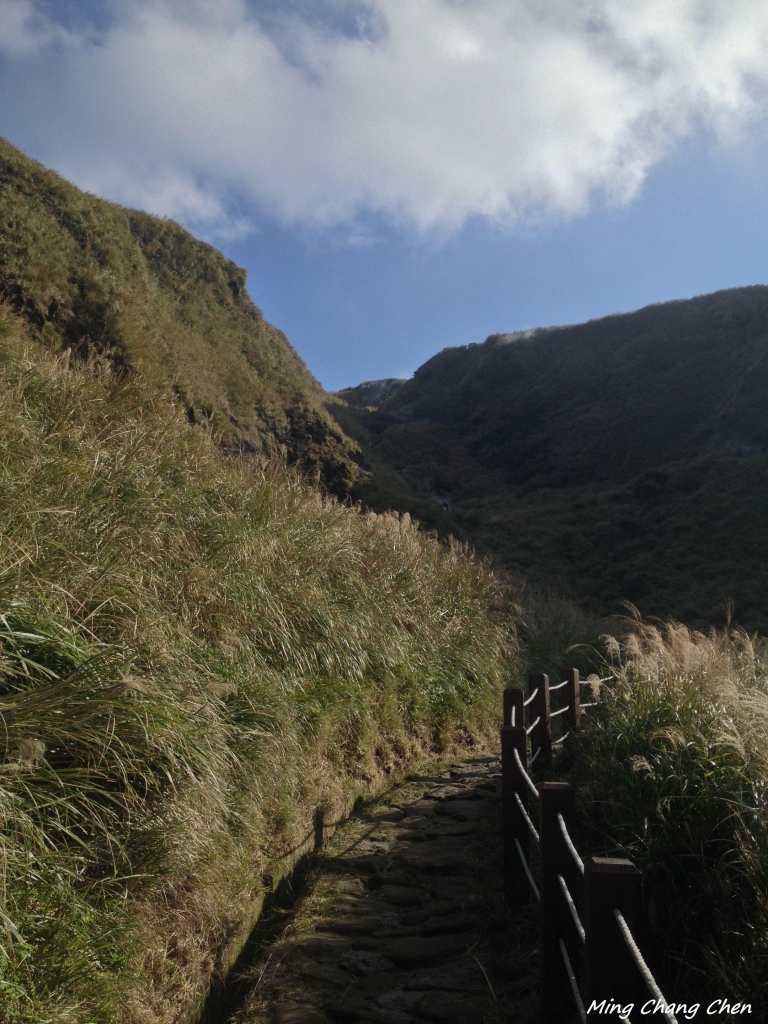 【山岳之美】~大屯主→七星主→ 七星東→夢幻湖→擎天崗_5629