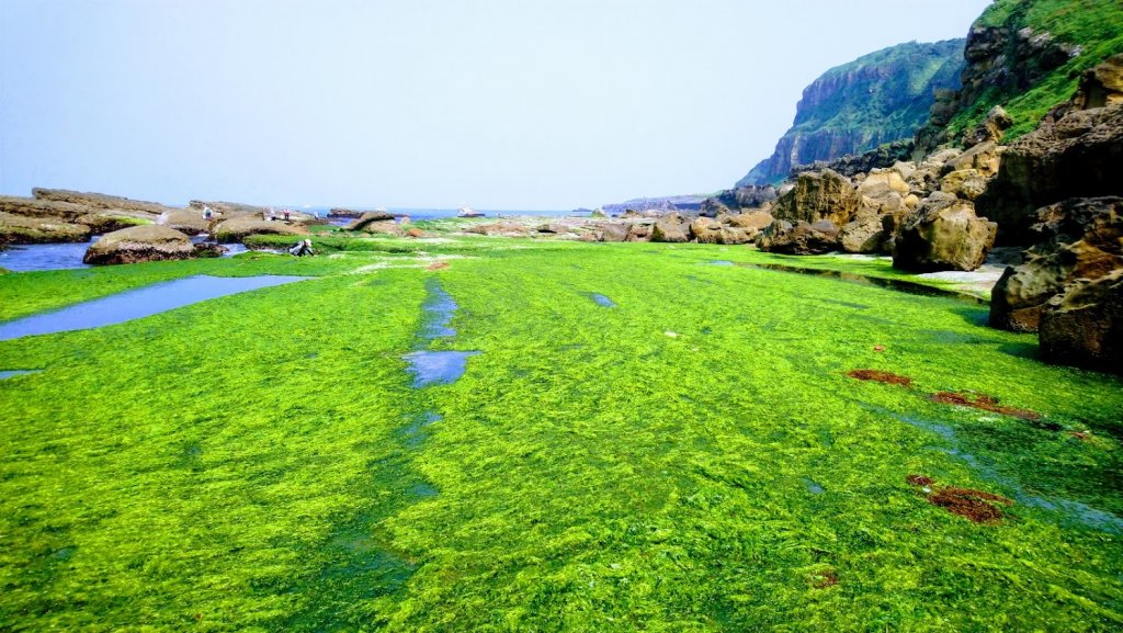 東北角海邊_549555