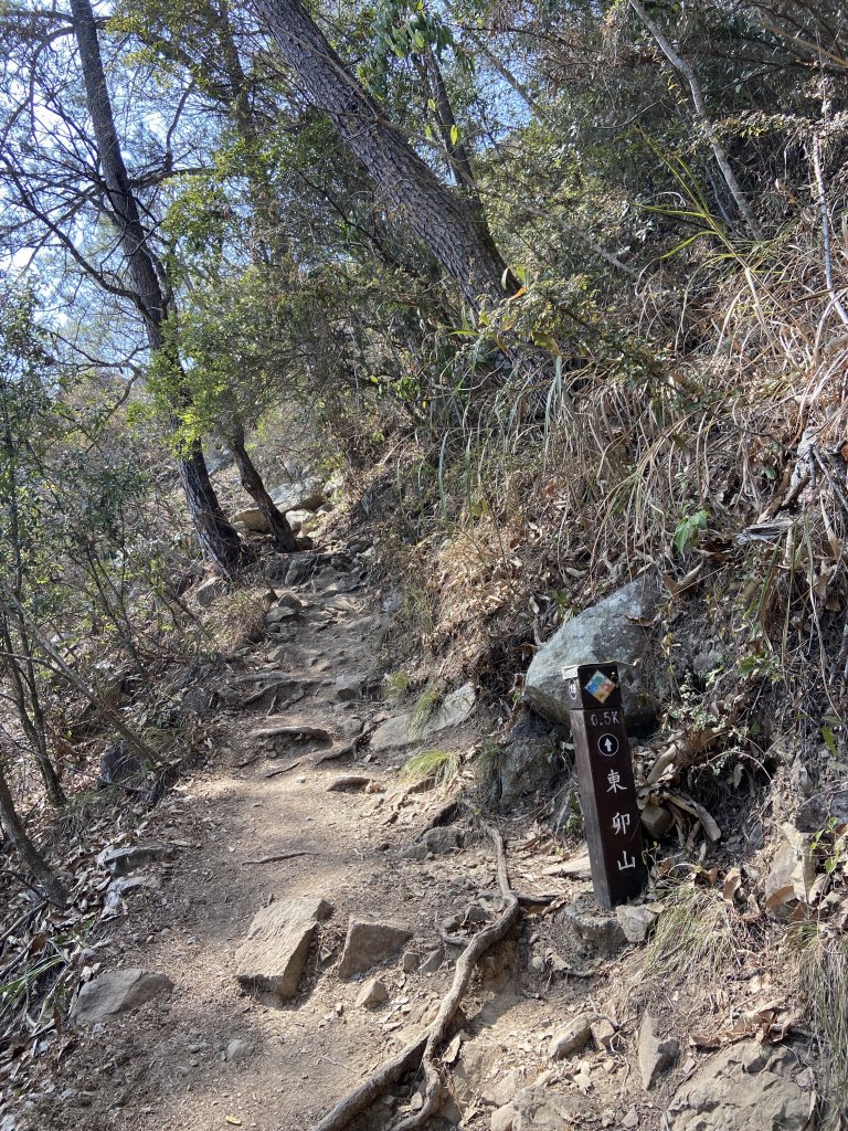 谷關七雄-東卯山原路線來回_2059294