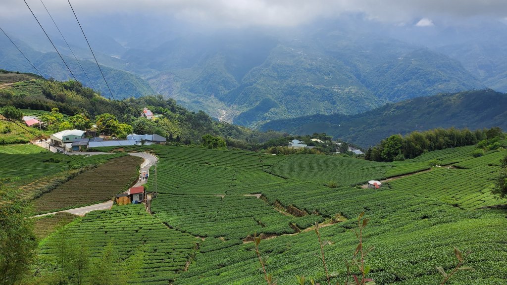 雲嘉大尖山 梨子腳山_1727396