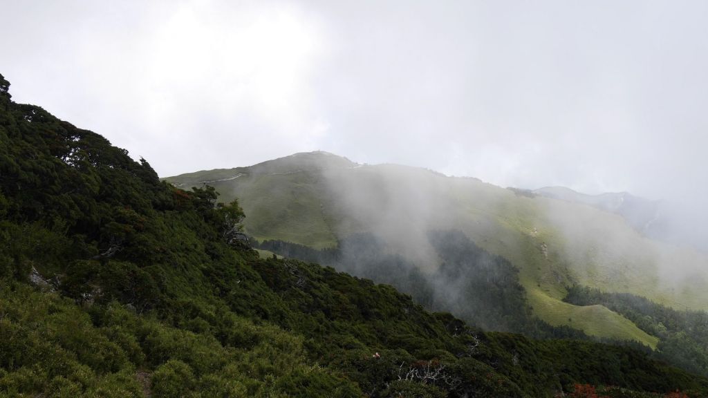 合歡東峰+石門山+合歡尖山_347973