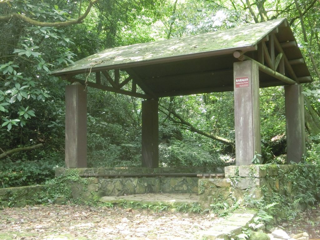 擎天崗．魚路古道．日人路_331956