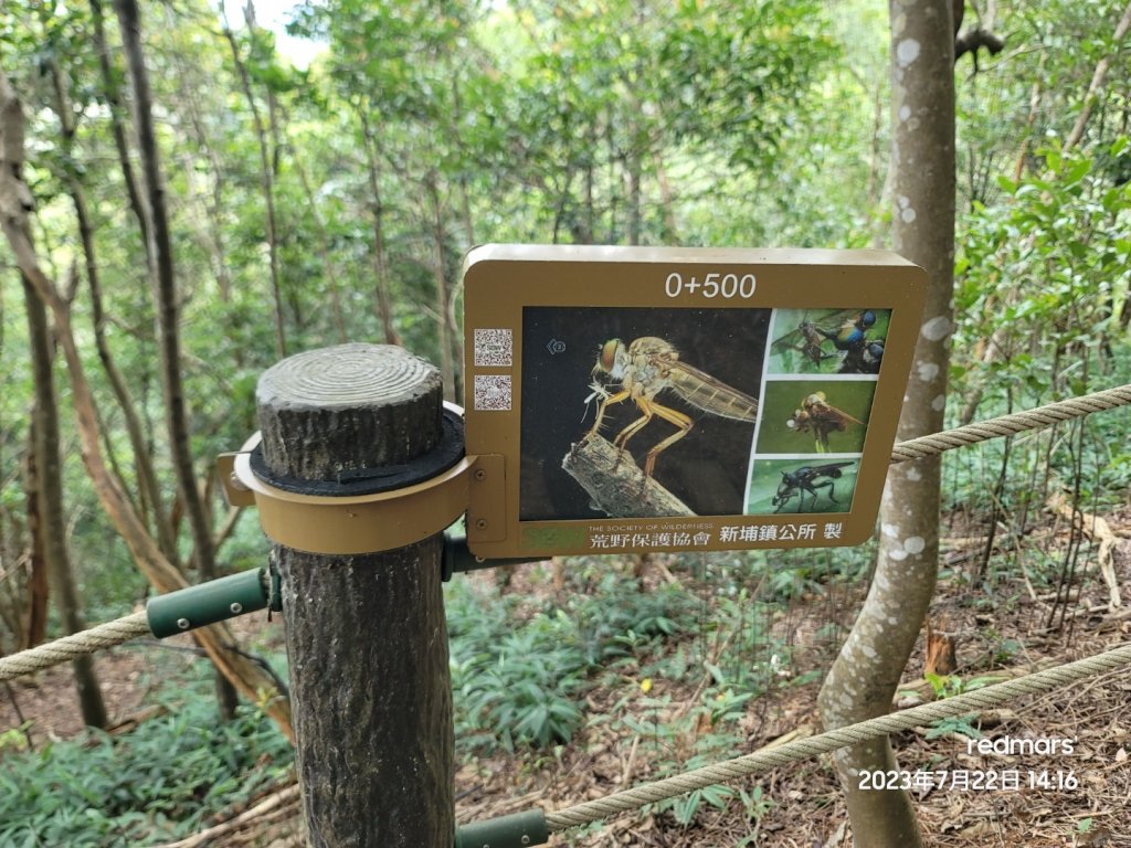 09-蓮華山古道群：飛龍步道、進香古道、採茶古道、載熙古道-2023080722_2261431
