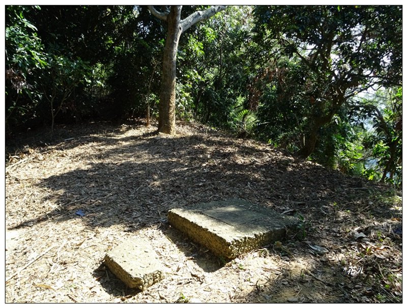 三汀山 、埤頭山連走_1586331