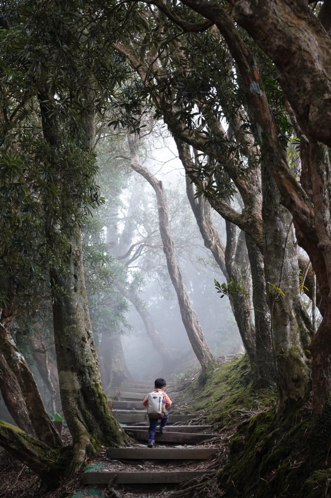 阿興阿賢北大武山_870760