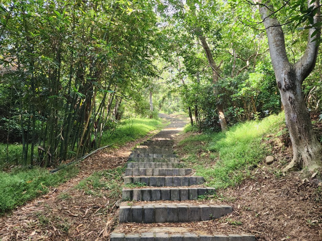 新竹新埔｜文山步道｜犁頭山_2891105
