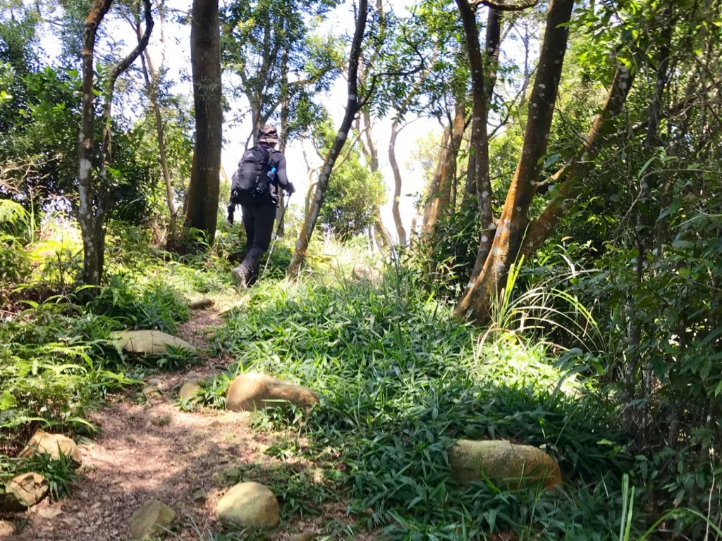 三員縱走下銅鑼_633463