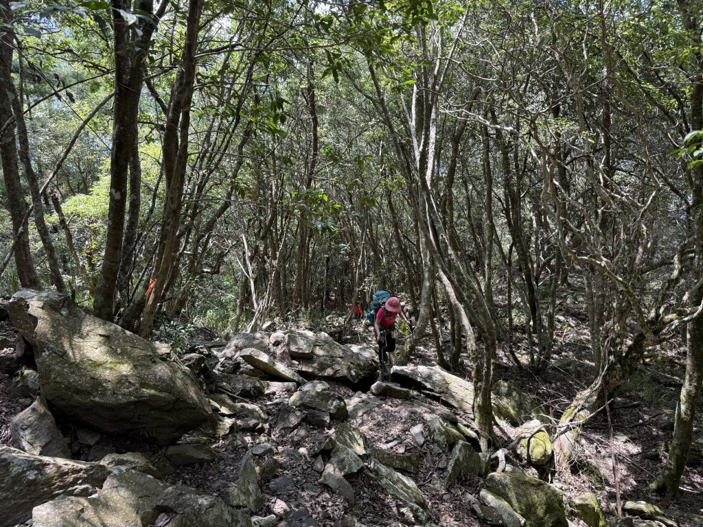 波津加山 20250914_2893377