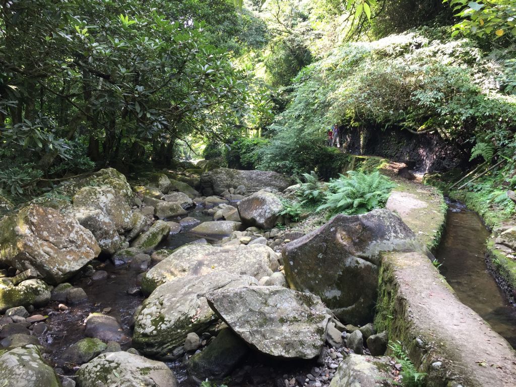 北五指山_坪頂古圳_內雙溪並荷蘭古道_407156