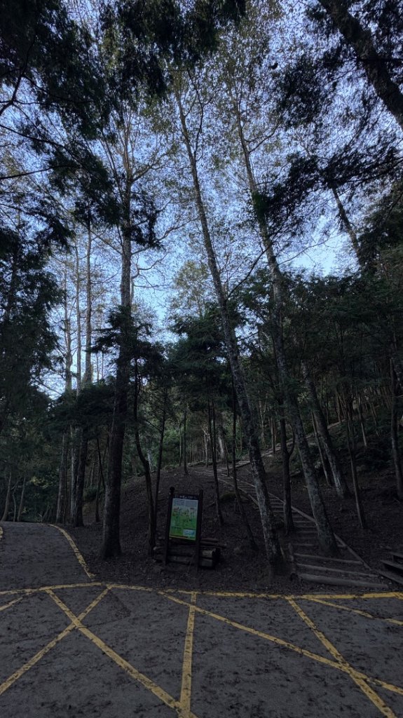 冬ㄖ奇遇_2972357