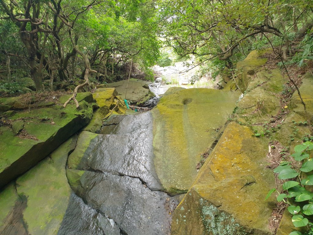 金面山步道_1717103