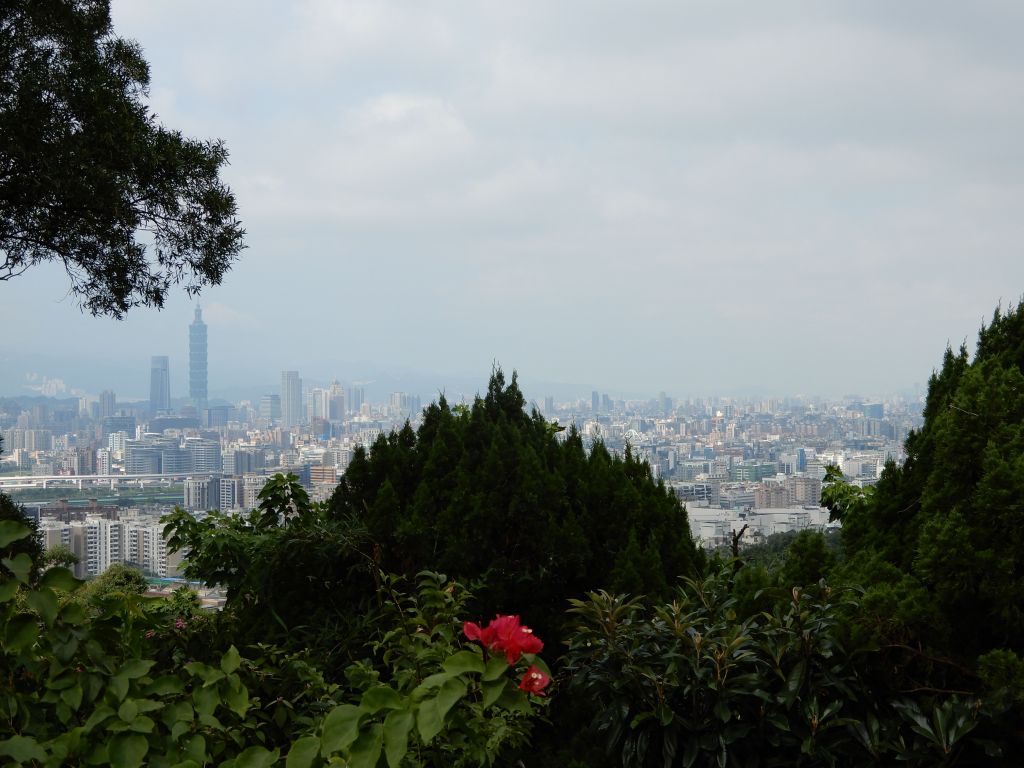 20180701_內湖郊山_359924