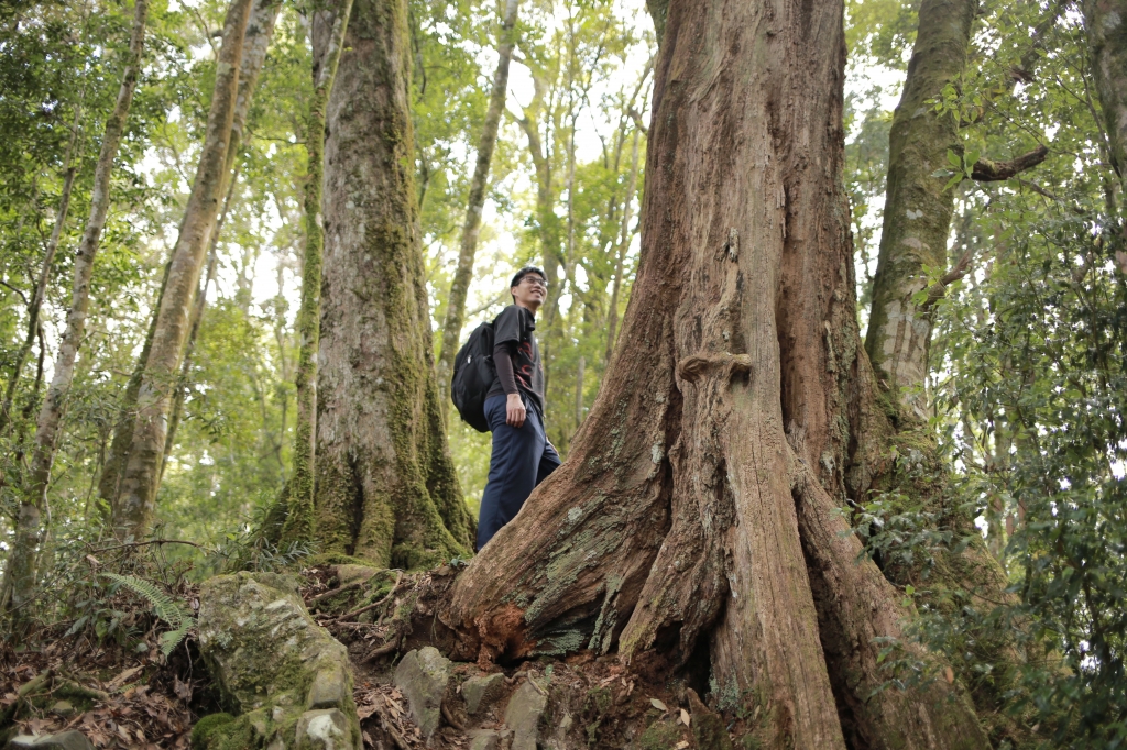 鳶嘴西稜：長壽山連走崠醜山_257181