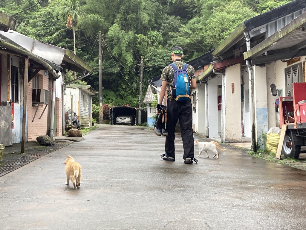 淡蘭中路O型_978765