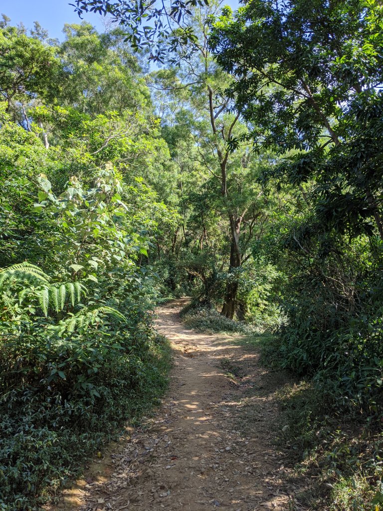 【屏東-小百岳】三大郊山 棚集山_775898