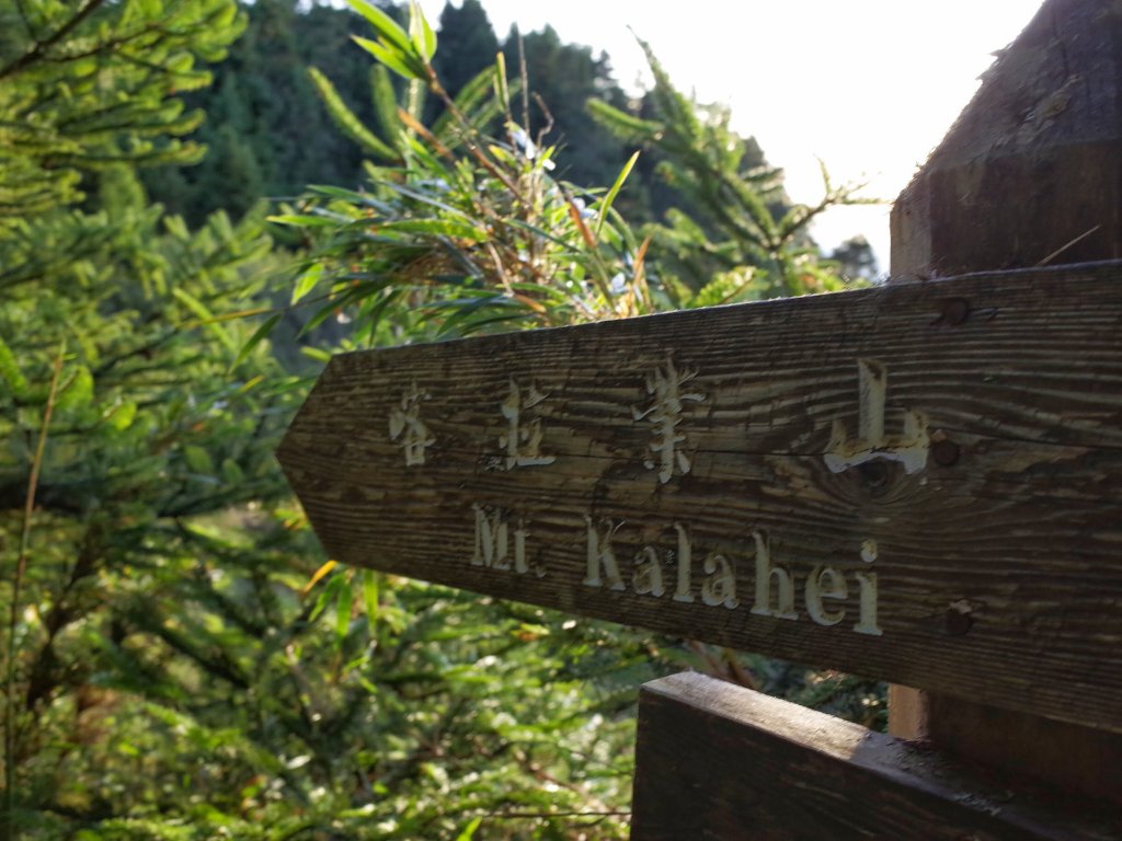 桃山&一點也不鳥的喀拉業山_632696