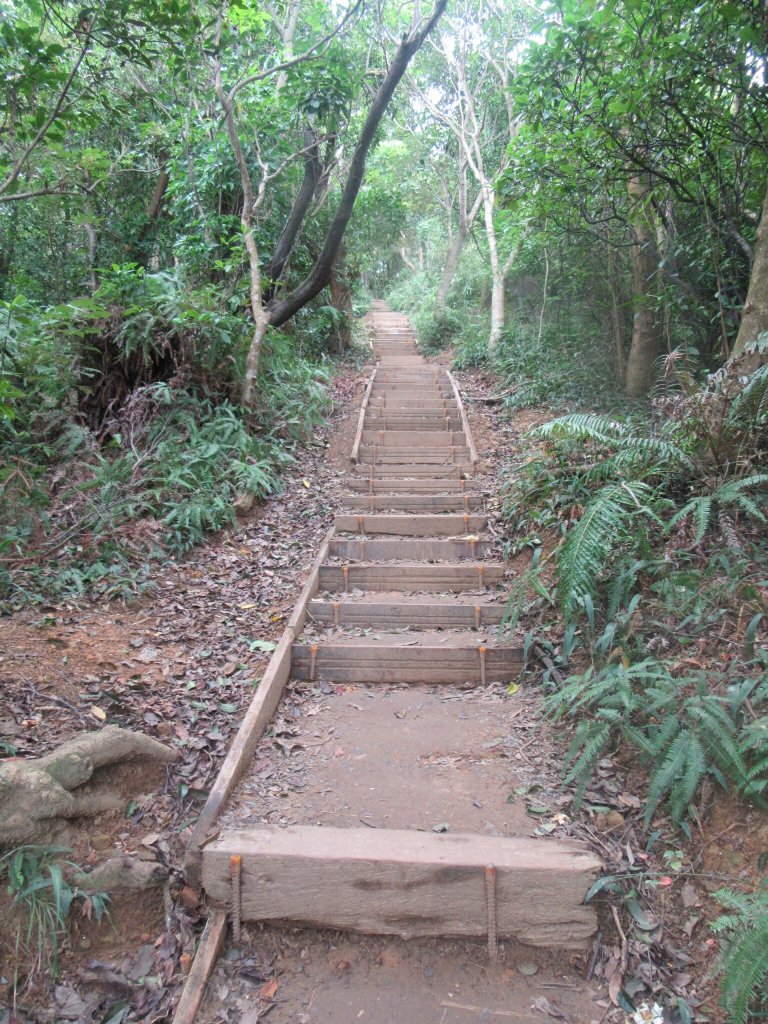 20211120-劍潭山_1520637