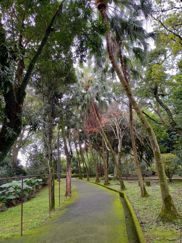 大溪齋明寺古道_828734