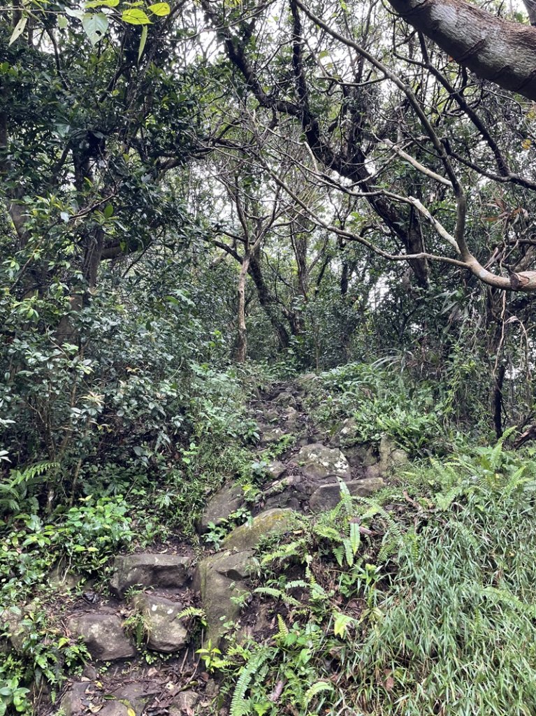 觀音山秘境_2634051