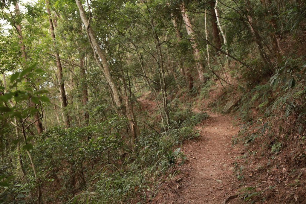 谷關七雄：東卯山_187637