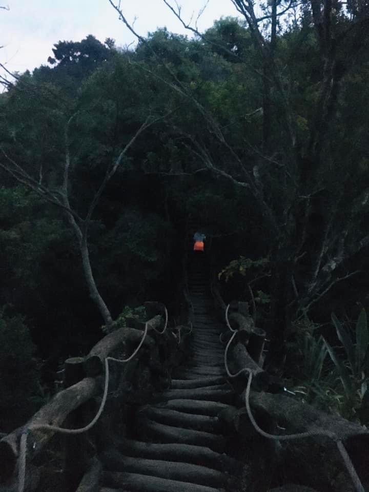 大坑風景區4上3-1下O型走_1924886