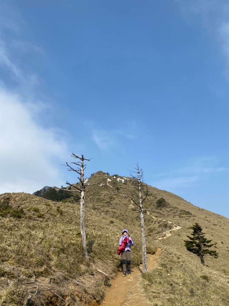 人生難得幾回瘋 由新竹衝一趟嘉明湖單攻_916038