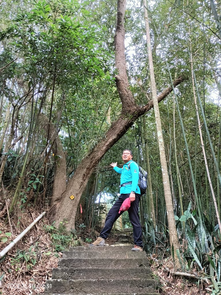 2022 11 30 出關古道：出雲段(出磺坑至法雲寺)_1934364