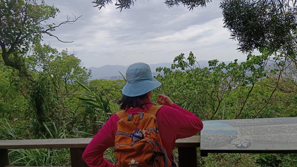 (姨婆趴趴走)第五十集:新北樹林大同山、青龍嶺、大棟山諸峰連走_2751574