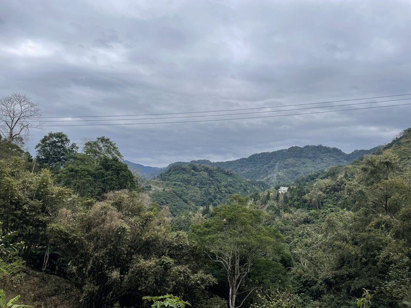 麥樹仁山封面圖