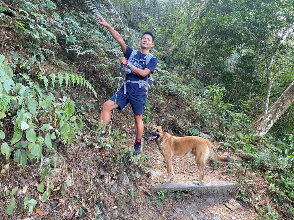 八仙山.東松鶴山【拚老命完成一年一雄的夢想】_2357721