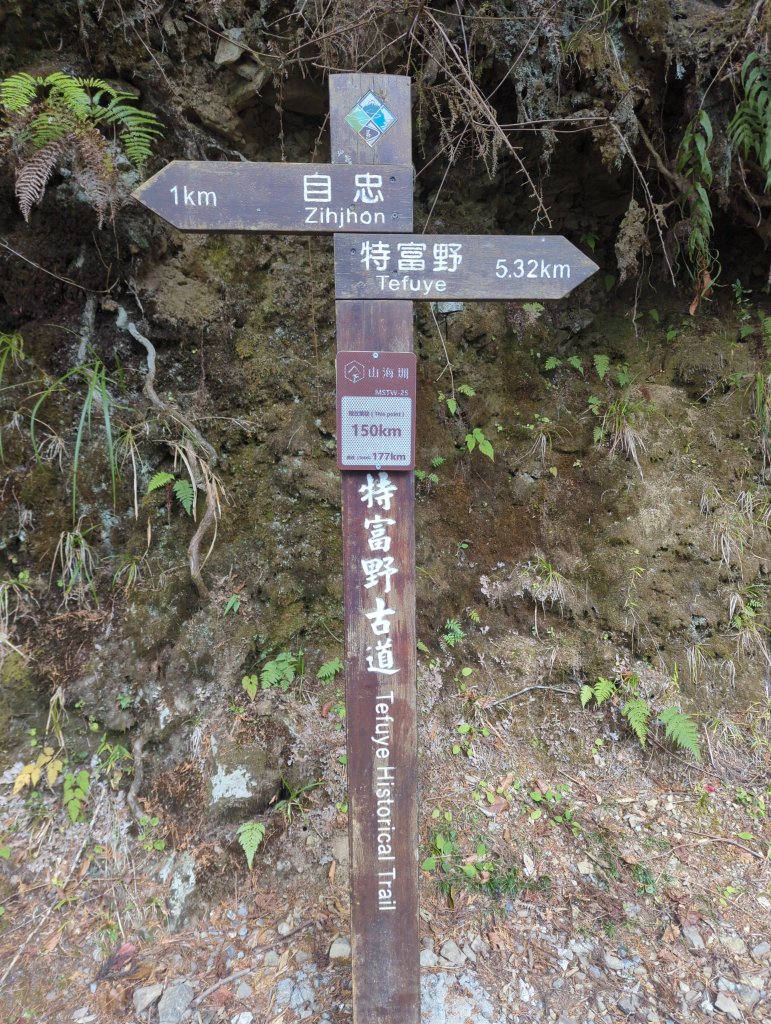 2026.02.14－特富野古道_3013695