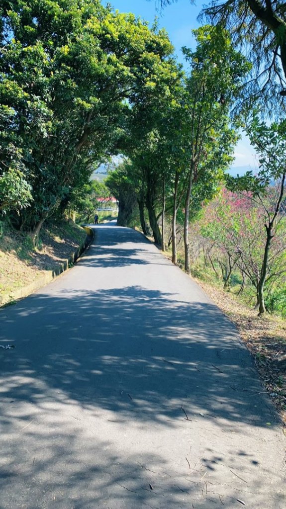 2020.02.23-秀才登山步道封面圖