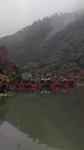 2019 2/28 望龍埤_874106