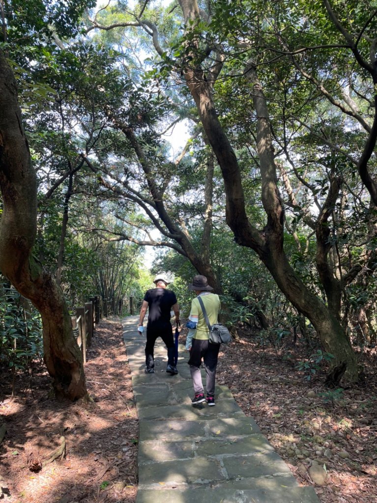 新北｜林口 太平濱海步道_1743345