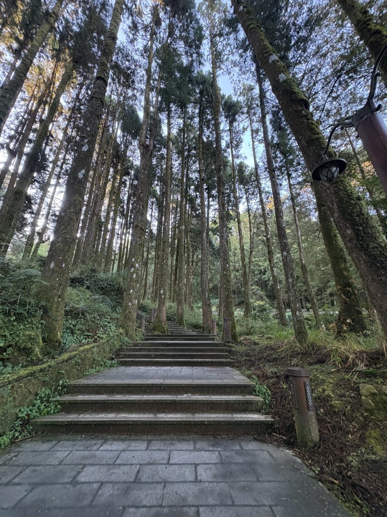 20251225塔山步道(大塔山)_2970232