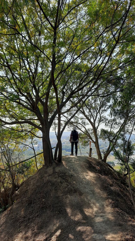 《台中》寒流暖陽｜知高圳步道學田山20221225_1968355