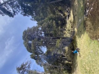 雪山西稜夢幻大景_1392669