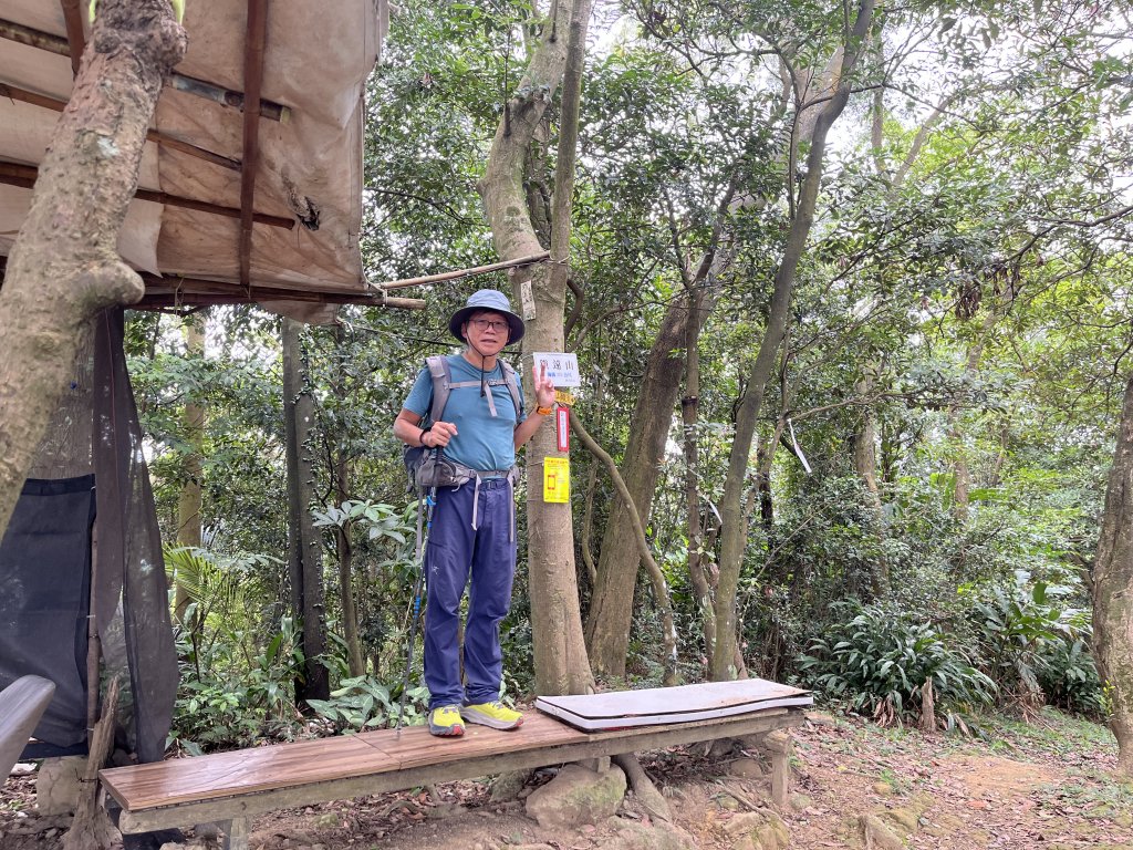 [微笑山線_第一段] 2025_0720 大棟山系_鎮遠山封面圖