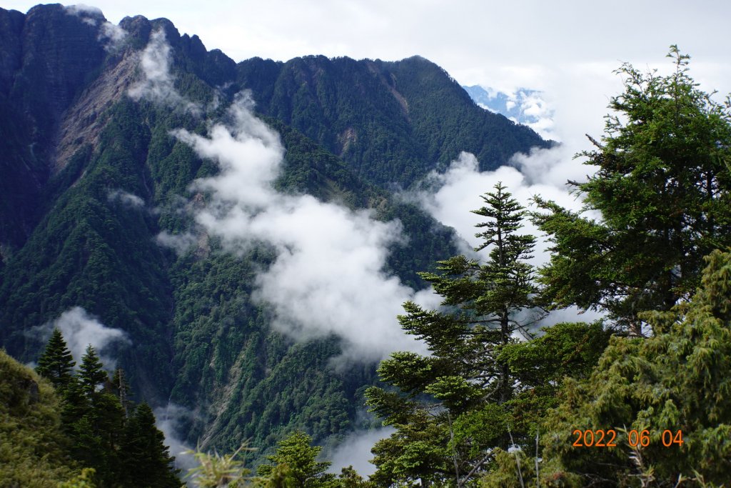 嘉義 阿里山 玉山前峰_1731160
