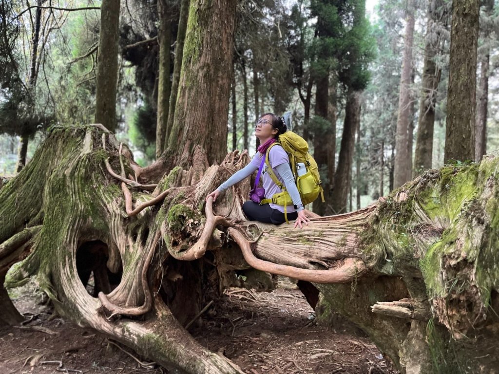 小百岳最高峰-大塔山_2153648