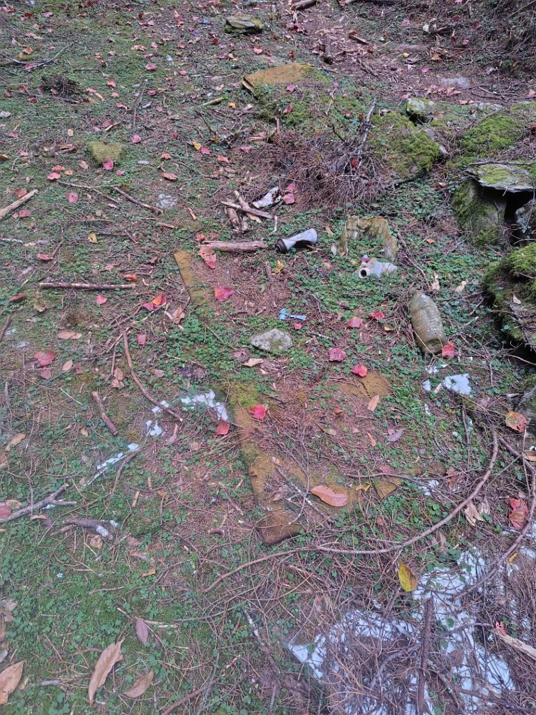 東埔走八通關古道訪龍貓公車繞對關山O型_2962996