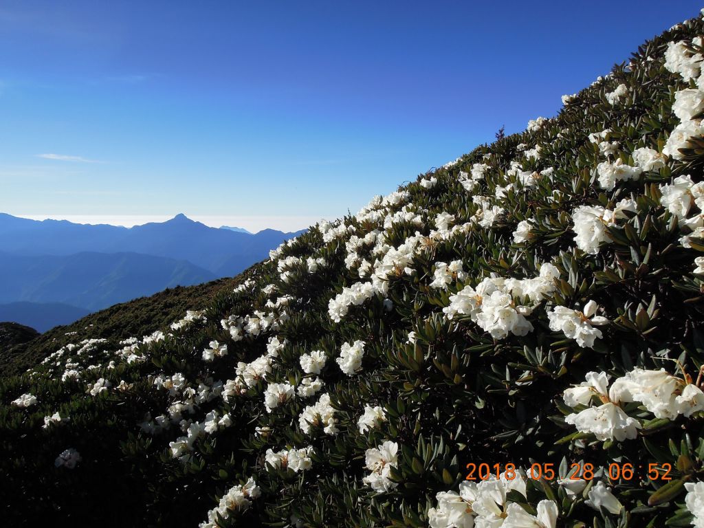 20180827-28_雪山主東_396315
