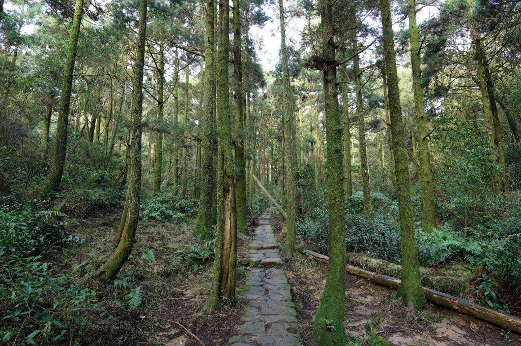 臺北 士林 香對山、頂山、杏林山、北五指山、高頂山、北頂山、馬蕃山、頂山溪山、五指山_2703245