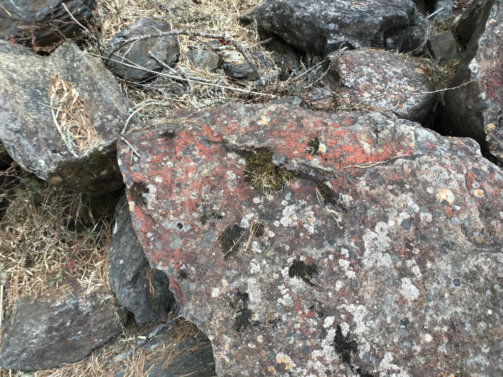 玉山八通關之最_1318025