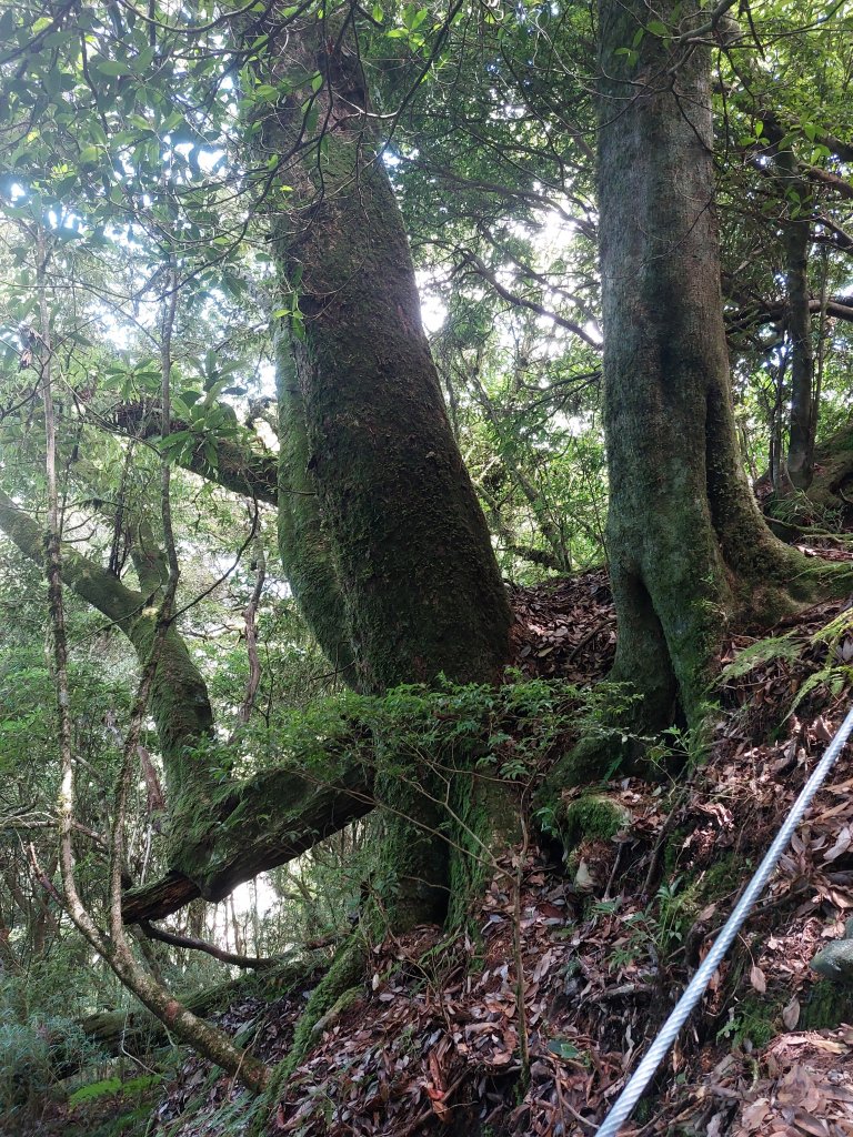 廬山六寶之尾上山+屯原山20220806_1795133