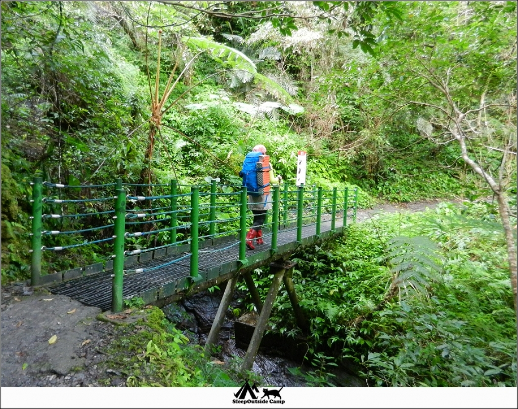 花蓮卓溪瓦拉米步道_259398