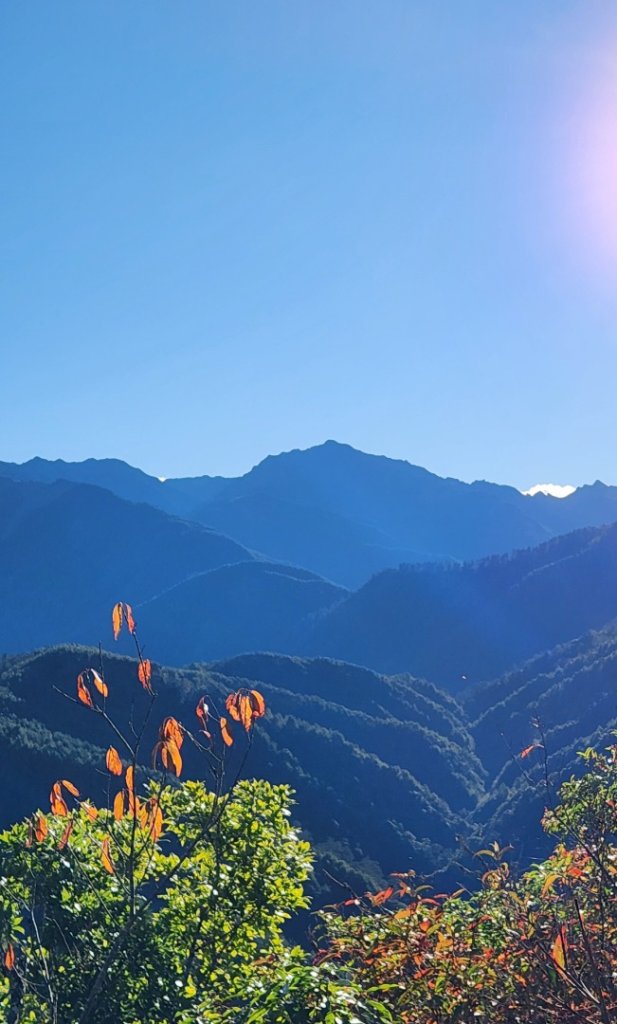 【中級山縱走】羅馬縱走，走進神木的夢幻童話森林世界_2943175